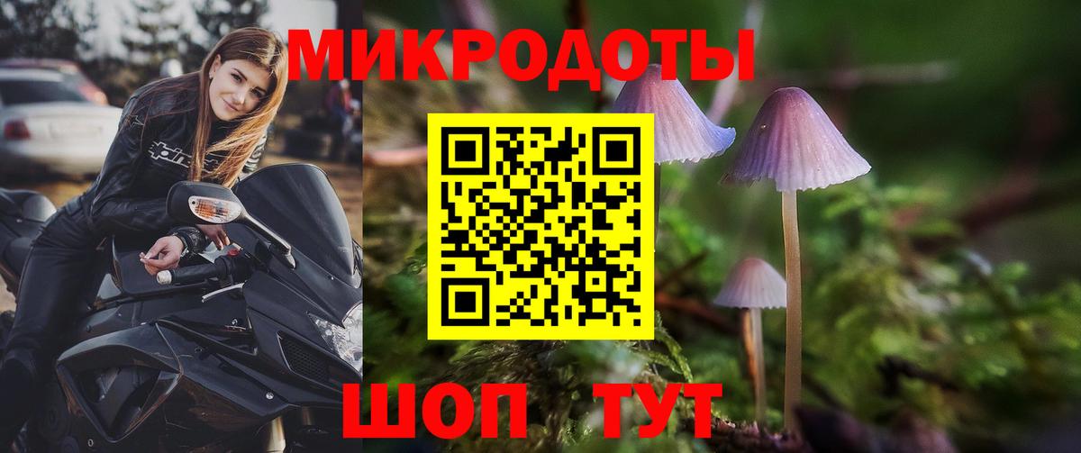 Ликино-Дулёво  Псилоцибиновые грибы Psilocybine cubensis  Вход с VPN 